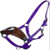 Showman Bronc Halter w/Floral Tooling & Cowhide Cut Out Barrel Racer view 1
