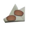 Earth Brown Polarized Lenses Replacement for Oakley Straight Jacket 2007 Sunglasses view 2