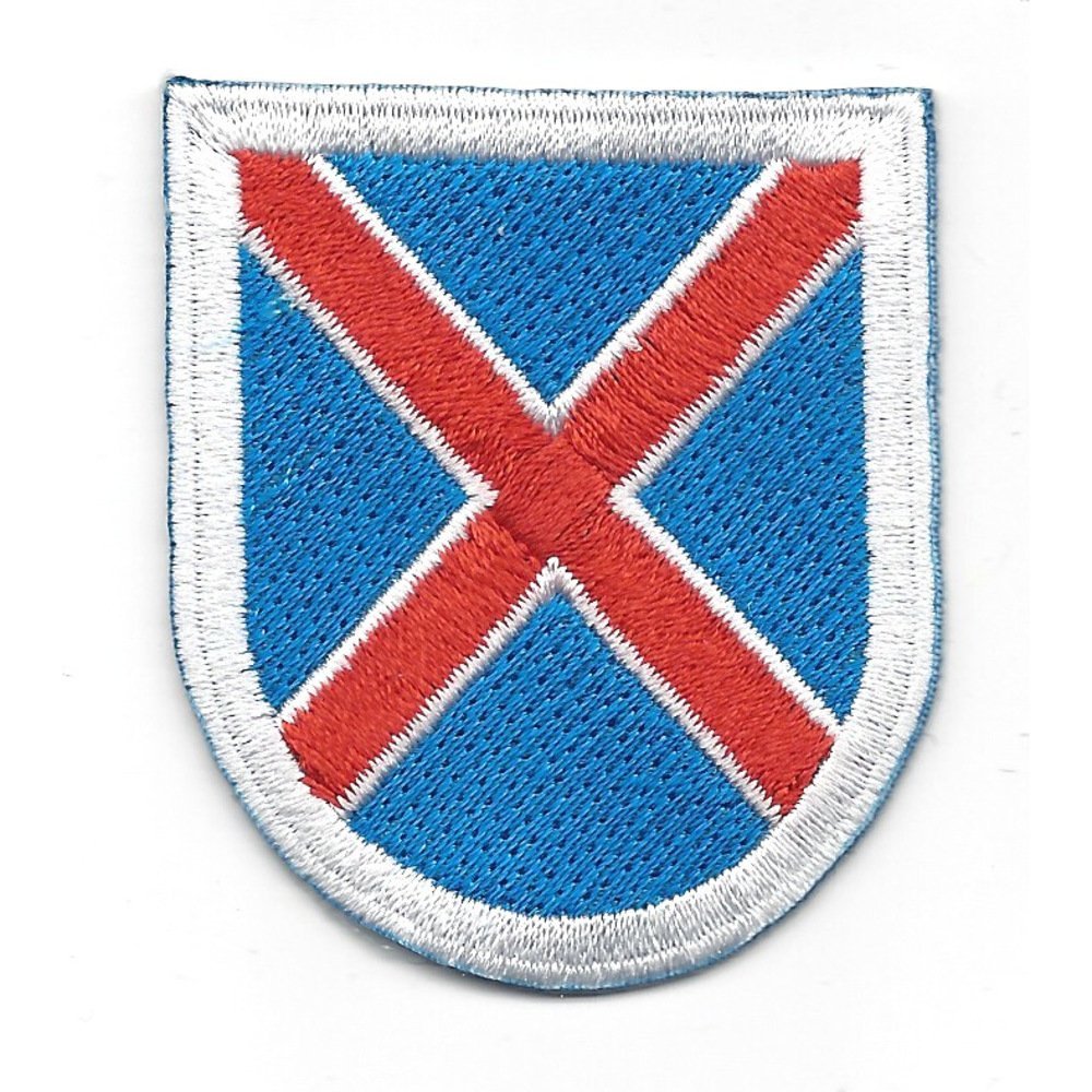 10th Mountain Division Flash Patch