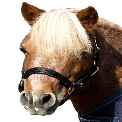 Shires Mini Topaz Halter (Black)
