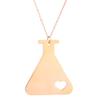 AOCHEE Love Science Erlenmeyer Flask Chemistry Necklace with Heart Medical Jewelry (Rose gold2b) view 1