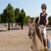 Mashfa Blue/Age 12-14 Years - Riding Glove view 4