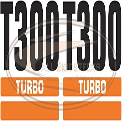 T300 Decal Sticker Set (Old Style) for Bobcat Skid Steers | Replaces OEM # 6733307