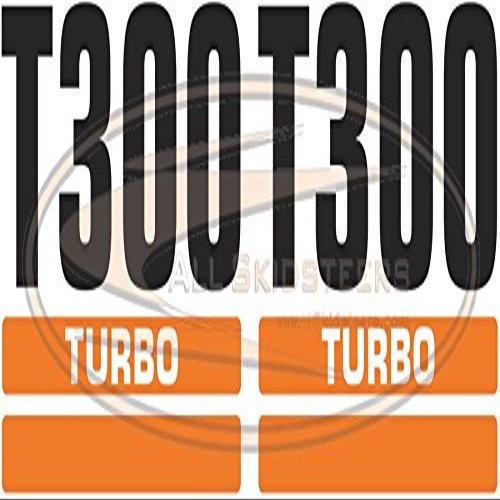 T300 Decal Sticker Set (Old Style) for Bobcat Skid Steers | Replaces OEM # 6733307