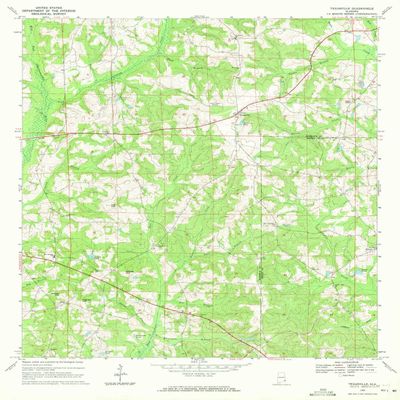 YellowMaps Texasville AL topo map, 1:24000 Scale, 7.5 X 7.5 Minute, Historical, 1969, Updated 1971, 26.8 x 21.9 in - Tyvek