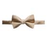 Spring Notion Men's Solid Color Satin Microfiber Bow Tie Champagne view 1
