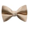 Spring Notion Men's Solid Color Satin Microfiber Bow Tie Champagne view 2