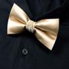 Spring Notion Men's Solid Color Satin Microfiber Bow Tie Champagne view 3