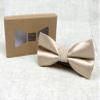 Spring Notion Men's Solid Color Satin Microfiber Bow Tie Champagne view 4