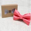 Spring Notion Men's Solid Color Satin Microfiber Bow Tie Melon view 4