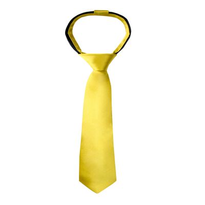 Spring Notion Boys' Solid Color Microfiber Zipper Tie Large Gold