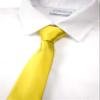 Spring Notion Boys' Solid Color Microfiber Zipper Tie Large Gold view 2