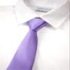 Spring Notion Boys' Solid Color Microfiber Zipper Tie Small Wisteria view 2