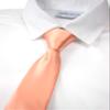 Spring Notion Boys' Solid Color Microfiber Zipper Tie Medium Peach view 2