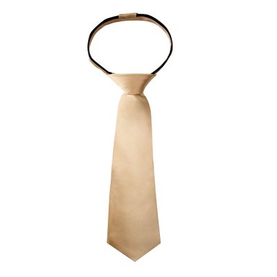 Spring Notion Boys' Solid Color Microfiber Zipper Tie Small Antique Gold