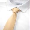 Spring Notion Boys' Solid Color Microfiber Zipper Tie Small Antique Gold view 2