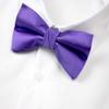 Spring Notion Men's Solid Color Satin Microfiber Bow Tie Wisteria view 3