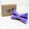 Spring Notion Men's Solid Color Satin Microfiber Bow Tie Wisteria view 4