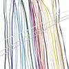 12 Yards of Leo 4mm Oval Elastic for Bra Straps or Lacing, Honey Gold, Made in Italy view 2