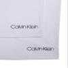 Calvin Klein Kids Boys' Short Sleeve Cotton Crewneck T-Shirt Multipack, 2 Pack - Classic White, X-Large view 3