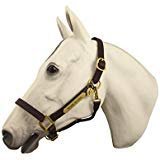 Horse Fare Leather Halter with Solid Brass Hardware- Made in The USA (Dark Brown, Pony)