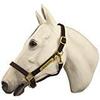 Horse Fare Leather Halter with Solid Brass Hardware- Made in The USA (Dark Brown, Pony) view 1