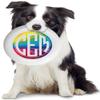 Infusion Wham-O Custom Initials Rainbow Monogram Ultimate Frisbee Disc - 175g, Black view 3