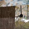 HME Full-Protective Weather-Resistant Portable Lightweight Versatile Durable Hub-Style Design Hunting Tree Stand Umbrella - 53" Width view 4