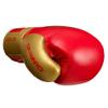 Onward Ignis Pro Fight Lace Up Boxing Glove - Leather Professional Boxing Gloves Professional Boxing Competition view 2