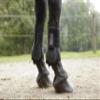 Covalliero TecAir Gaiters, Black, Full Size view 2