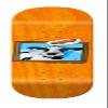 Crucial Skate Company Emmanuel Camusat Got Skate Guest Artist Deck view 1