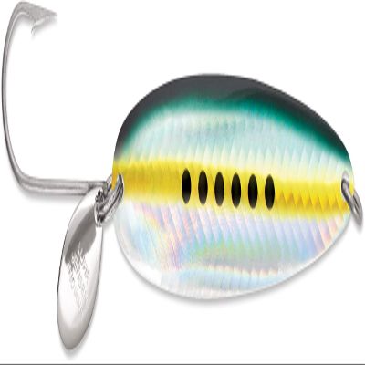 Luhr Jensen 4.0 Coyote Spoon Sardine Glow Back