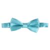Baby Boys Cake Smash Clothes Diaper Suspenders Pants Bow Tie 3PCS Set First 1st 2nd Birthday Outfit for Photo Prop Party Light Blue + Blue 3-24 Months view 2