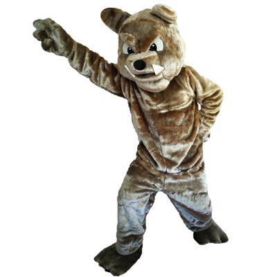 Bulldog Mascot Costume Cartoon Character Adult Sz Real Picture