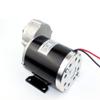 L-faster 24V36V48V 450W Ricksha Engine Kit 3-Wheel Bicycle Motor kit DIY Pedicab Brushed DC Motor with Gearbox (36V Normal kit) view 4
