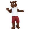 Castor fiber beaver Mascot Costume Cartoon Character Adult Sz Real Picture view 1