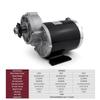 L-faster 24V36V48V 450W Ricksha Engine Kit 3-Wheel Bicycle Motor kit DIY Pedicab Brushed DC Motor with Gearbox (24V Upgrade kit) view 2
