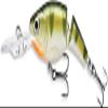 Rapala Unisex_Adult Jointed Shad Rap Curls, Yellow Bass, 9 cm view 3