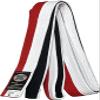 Ronin Renchi Belt for Grand Master & Masters - for Martial Arts - 4th & 5th Degree Black Belt (5) view 2