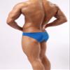 29 Silky Men's Bikini Briefs Sexy Low-Rise Underwear (S / 26-29, Blue) view 2