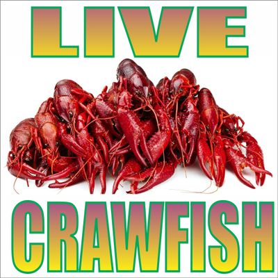 2 12 inch LIVE CRAWFISH Decal Sticker set for Food Truck Trailer Cart window