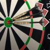 Shot! Darts Duel-Steel Tip Dart Set-Two Dart Set-18gm-Brass Barrels view 3