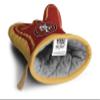YouTheFan San Francisco 49ers #1 Oven Mitt - 100% Cotton, Red, 13.25" x 6.5" NFL Team Logo Oven Mitt view 3
