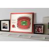 YouTheFan NFL 5-Layer 17 x 13 StadiumViews 3D Wall Art, Cleveland Browns view 2