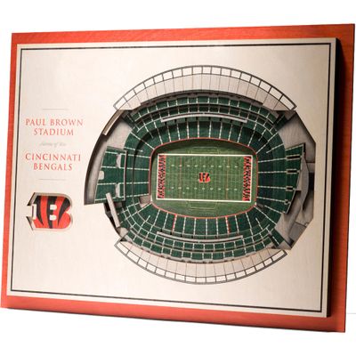 YouTheFan NFL 5-Layer 17 x 13 StadiumViews 3D Wall Art, Cincinnati Bengals