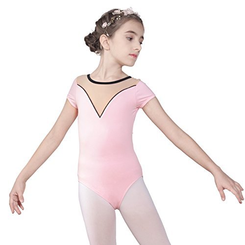 Baiwu Dance 117241055 Elegant Ballet Leotard Girls Short Sleeve Kids Leotards (Pink, XL 12-14)
