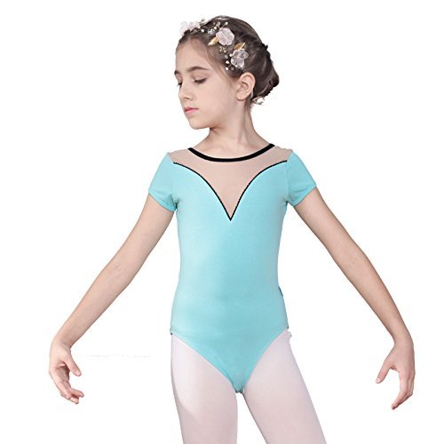 Baiwu Dance 117241055 Elegant Ballet Leotard Girls Short Sleeve Kids Leotards (Blue, S 4-6)