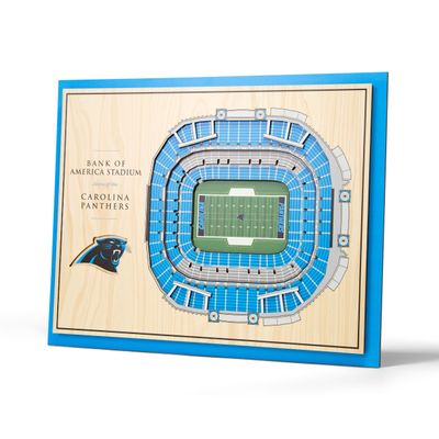 YouTheFan NFL 5-Layer 17 x 13 StadiumViews 3D Wall Art, Carolina Panthers