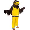 Brown Sport Eagle Cartoon Costume Mascot Plush with Mask for Adult Cosplay Party Halloween Dress Up view 2