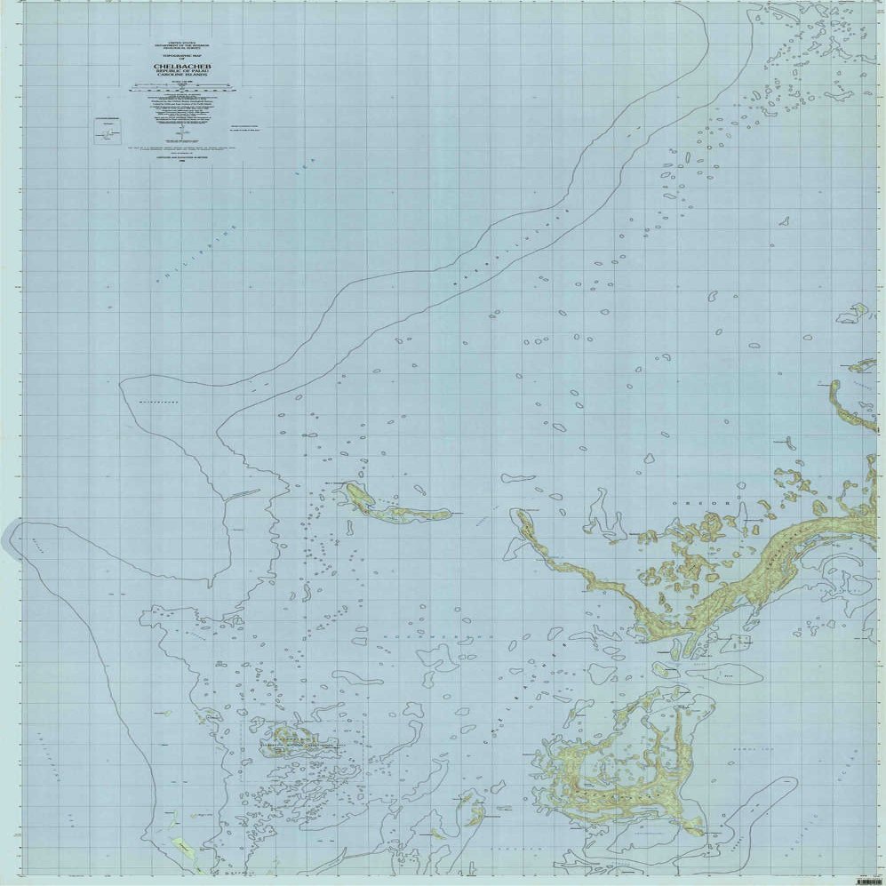 YellowMaps Chelbacheb PW topo map, 1:25000 Scale, 7.5 X 7.5 Minute, Historical, 1984, Updated 1984, 67.82 x 45.07 in - Tyvek
